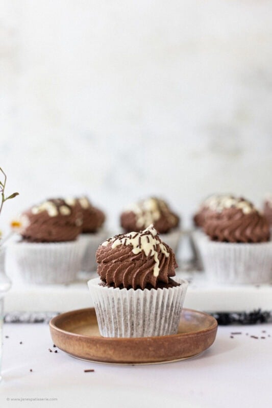 Chocolate Cupcake on a plate