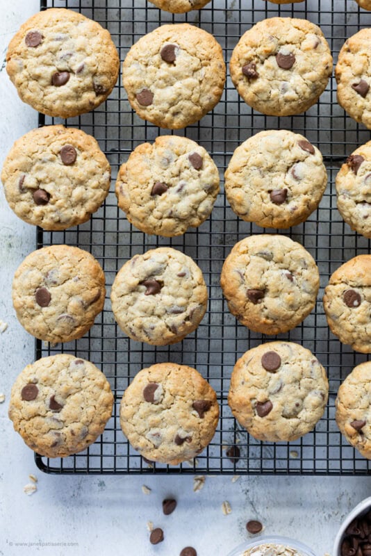 A hand holding a chocolate oat cookie