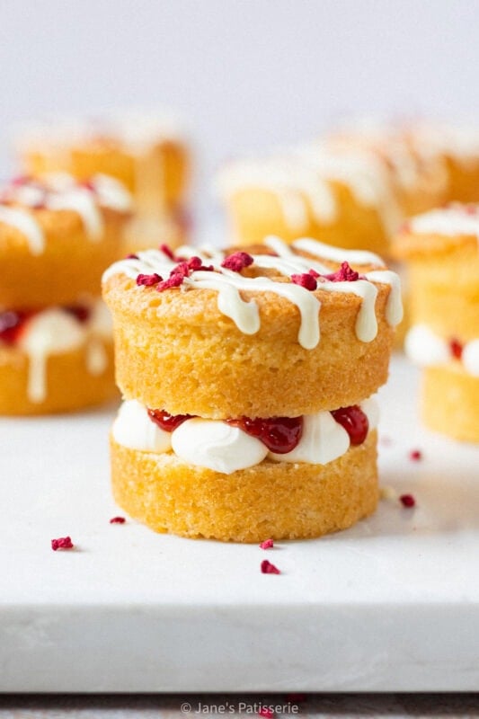 A single mini Victoria sponge cake