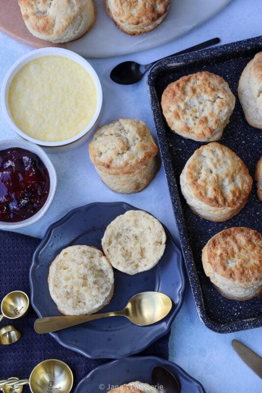 A batch of freshly baked Buttermilk Scones on a baking tray